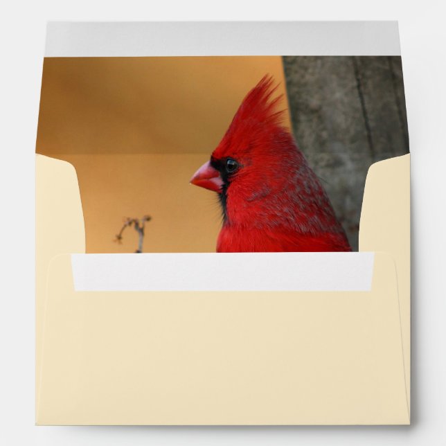 Red Cardinal Interior Envelope Return Address (Back (Bottom))
