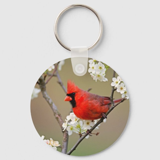 Red Cardinal Key Ring (Front)