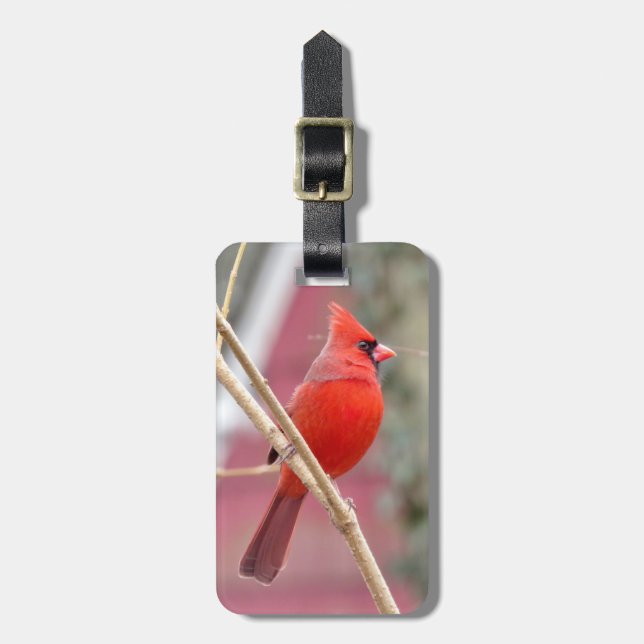 Red Cardinal Luggage Tag (Front Vertical)