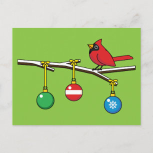 Red Cardinal on Christmas Bare Branch Holiday Postcard