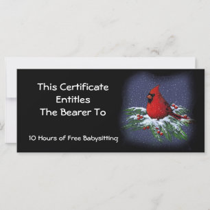 Red Cardinal on Snowy Branch: Gift Certificate