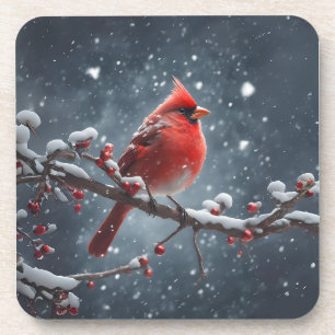 Red Cardinal on Tree Branch in Snow Coaster