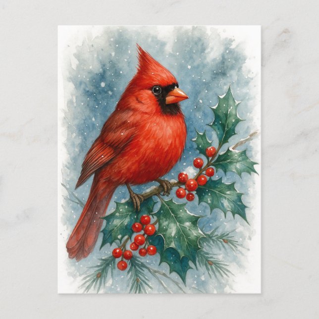 Red Cardinal on Winter Holly Christmas Postcard (Front)