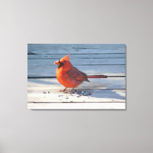 Red Cardinal on Wooden Bridge Canvas Print