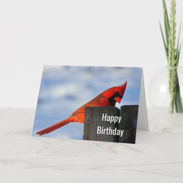 Red Cardinal on Wooden Stump Happy Birthday Card (Front)