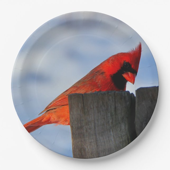 Red Cardinal on Wooden Stump Paper Plate (Front)