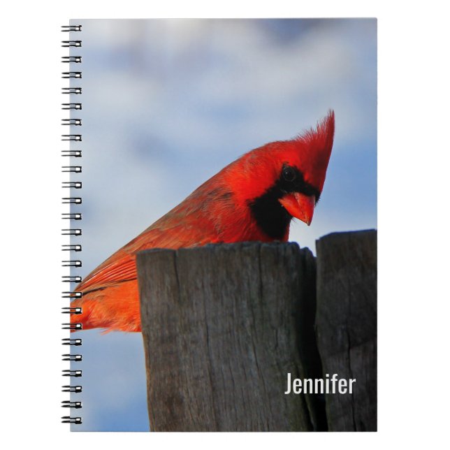 Red Cardinal on Wooden Stump Personalised Notebook (Front)