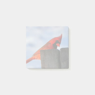 Red Cardinal on Wooden Stump Post-it Notes