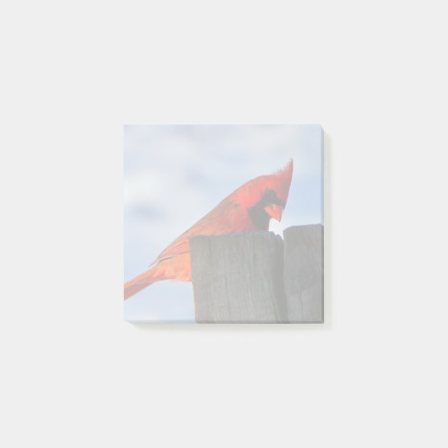 Red Cardinal on Wooden Stump Post-it Notes (Front)