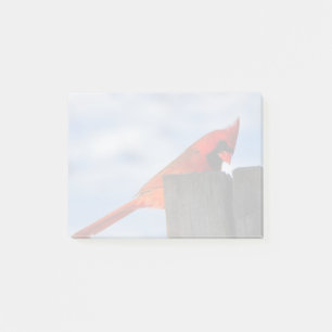 Red Cardinal on Wooden Stump Post-it Notes