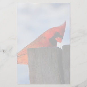 Red Cardinal on Wooden Stump Stationery