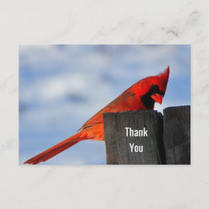 Red Cardinal on Wooden Stump Thank You Card