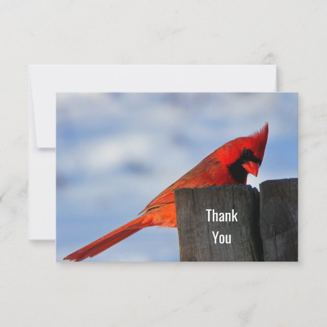 Red Cardinal on Wooden Stump Thank You Card (Front)