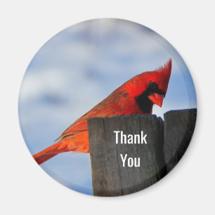 Red Cardinal on Wooden Stump Thank You Magnet