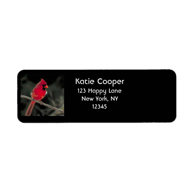 Red Cardinal Perched on a Tree Branch (Front)