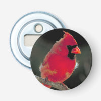 Red Cardinal Perched on a Tree Branch