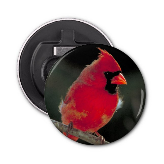 Red Cardinal Perched on a Tree Branch Bottle Opener (Front)