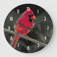 Red Cardinal Perched on a Tree Branch