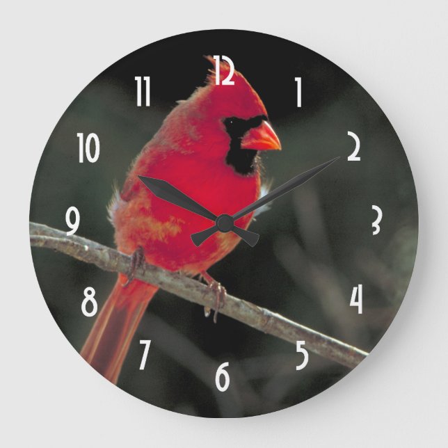 Red Cardinal Perched on a Tree Branch Large Clock (Front)