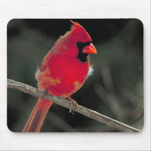 Red Cardinal Perched on a Tree Branch Mouse Mat