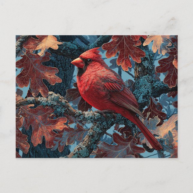 Red Cardinal Perched on Branch Postcard (Front)