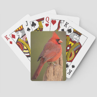 Red Cardinal Playing Cards