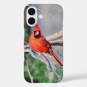 Red Cardinal Portrait iPhone 16 Case