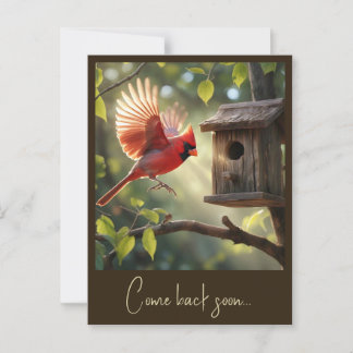 " RED CARDINAL " POSTCARD