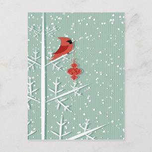 Red Cardinal Postcard