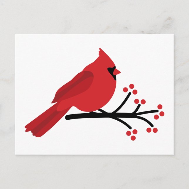 Red Cardinal Postcard (Front)