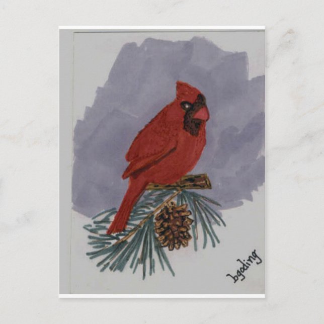 Red Cardinal Postcard (Front)