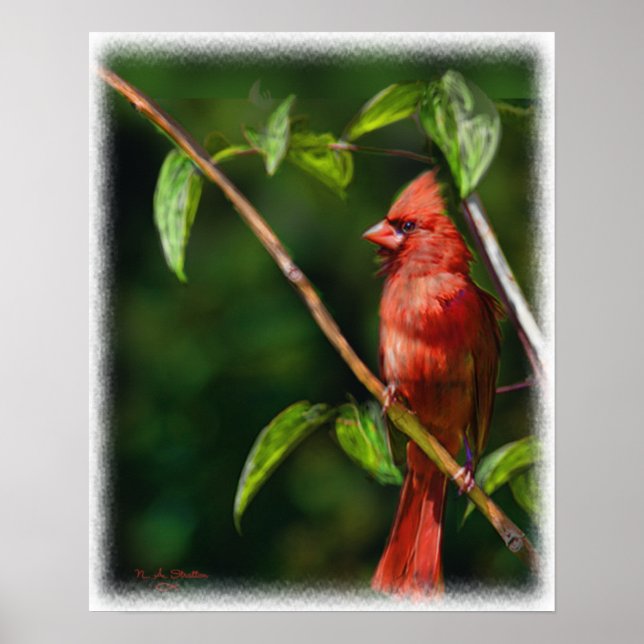 Red Cardinal Poster (Front)