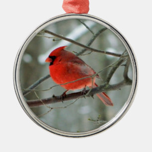 Red Cardinal Premium Ornament