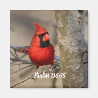Red Cardinal Psalm 116:15 Magnet