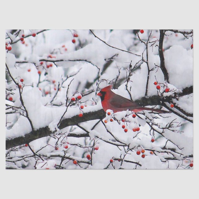 Red Cardinal Snow Tree Photo Tissue Paper (Front)