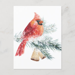 Red Cardinal Snowy Blue Spruce Branch Winter Scene Postcard