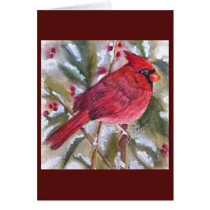 RED CARDINAL SPECIAL