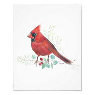 Red Cardinal Watercolor Photo Print