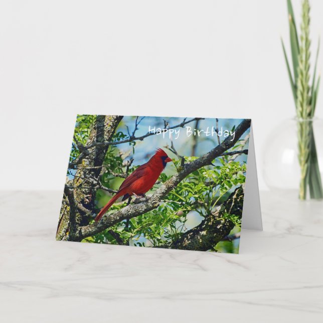 Red Cardinal  Wild Bird Photograph Card (Front)