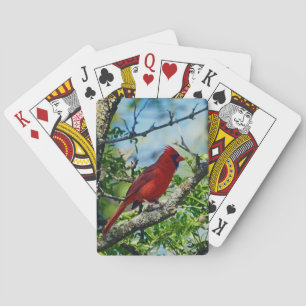 Red Cardinal Wild Bird Playing Cards