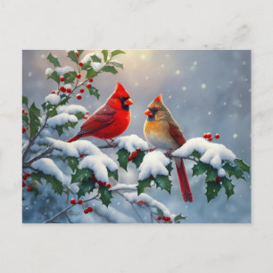 Red Cardinals and Holly in Snow Postcard