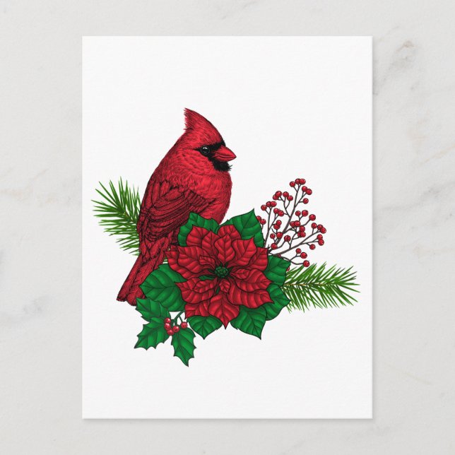 Red Cardinals on Christmas decoration Postcard (Front)
