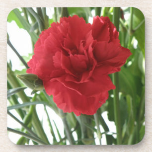 Red Carnation Cork Coaster