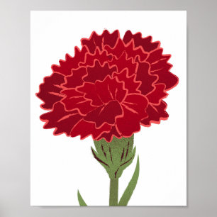 Red Carnation Flower Poster
