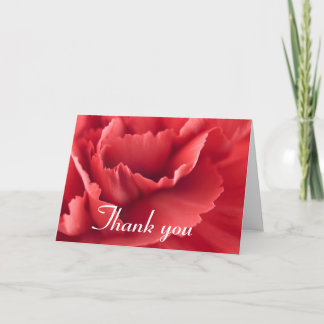 Red carnation flower ... Thank you card
