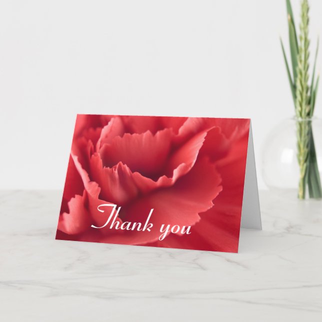 Red carnation flower ... Thank you card (Front)