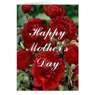 Red Carnation Flowers Greeting Card