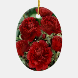 Red Carnation Flowers Ornament