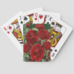 Red Carnation Flowers Playing Cards