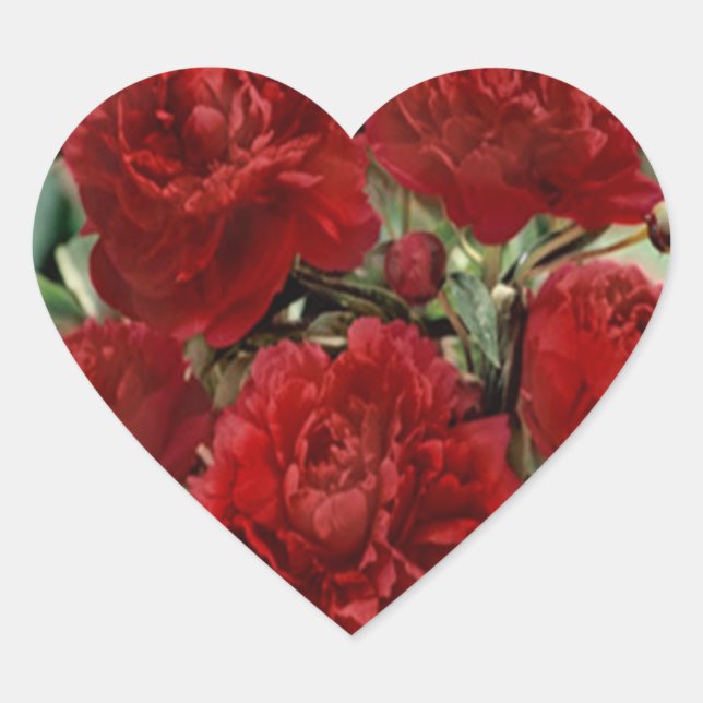 Red Carnation Flowers Stickers (Front)